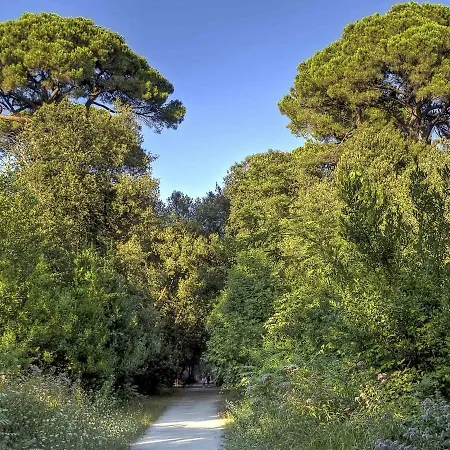 Locazione Turistica Il Nicchio Apartamento Viareggio